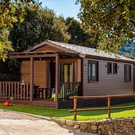 Camping Bungalow Serra De Prades Resort Vilanova de Prades Eksteriør billede