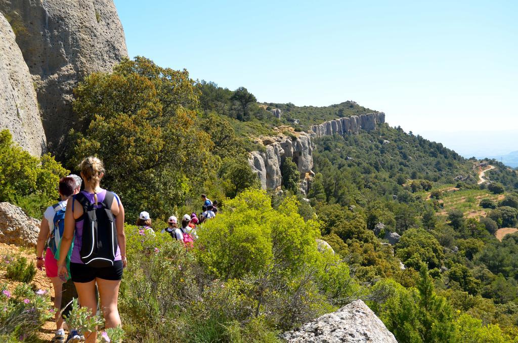 Camping Bungalow Serra De Prades Resort Vilanova de Prades Eksteriør billede